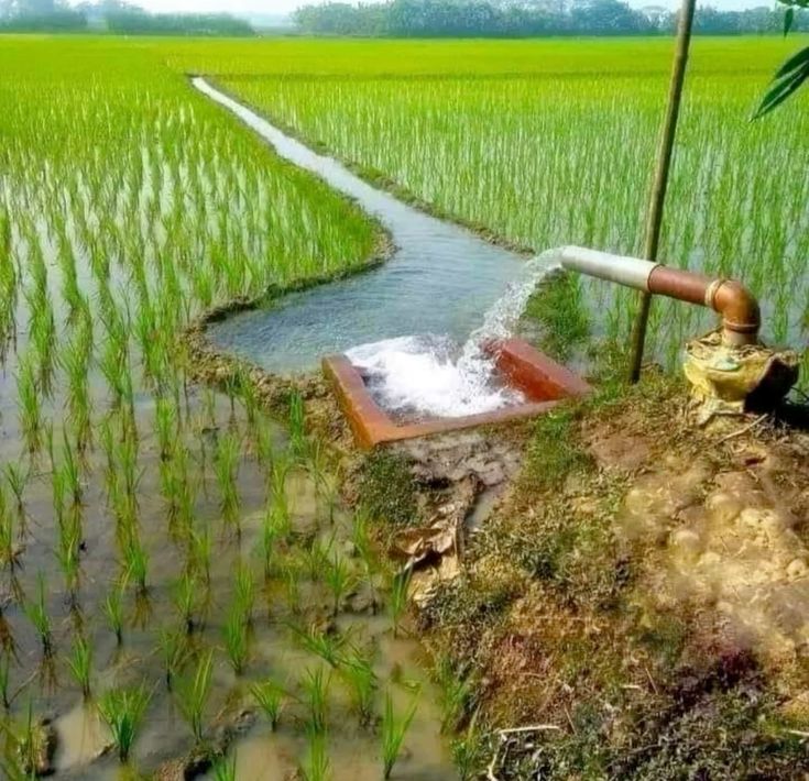 Gujarat Kisan Yojana 2025 – सिंचाई, बीज, की Best - Guide 2 Gujarat Kisan Yojana